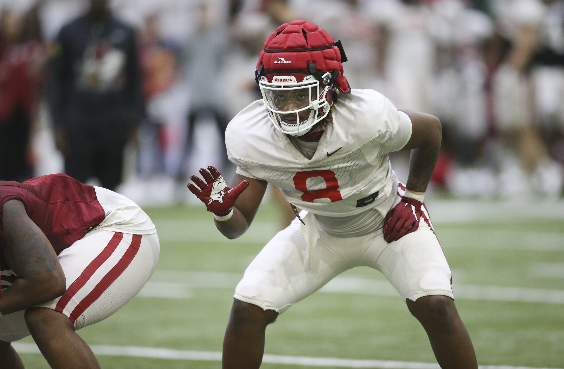 Hogs' Swiss Army knife set to get season started - Vimarsana News