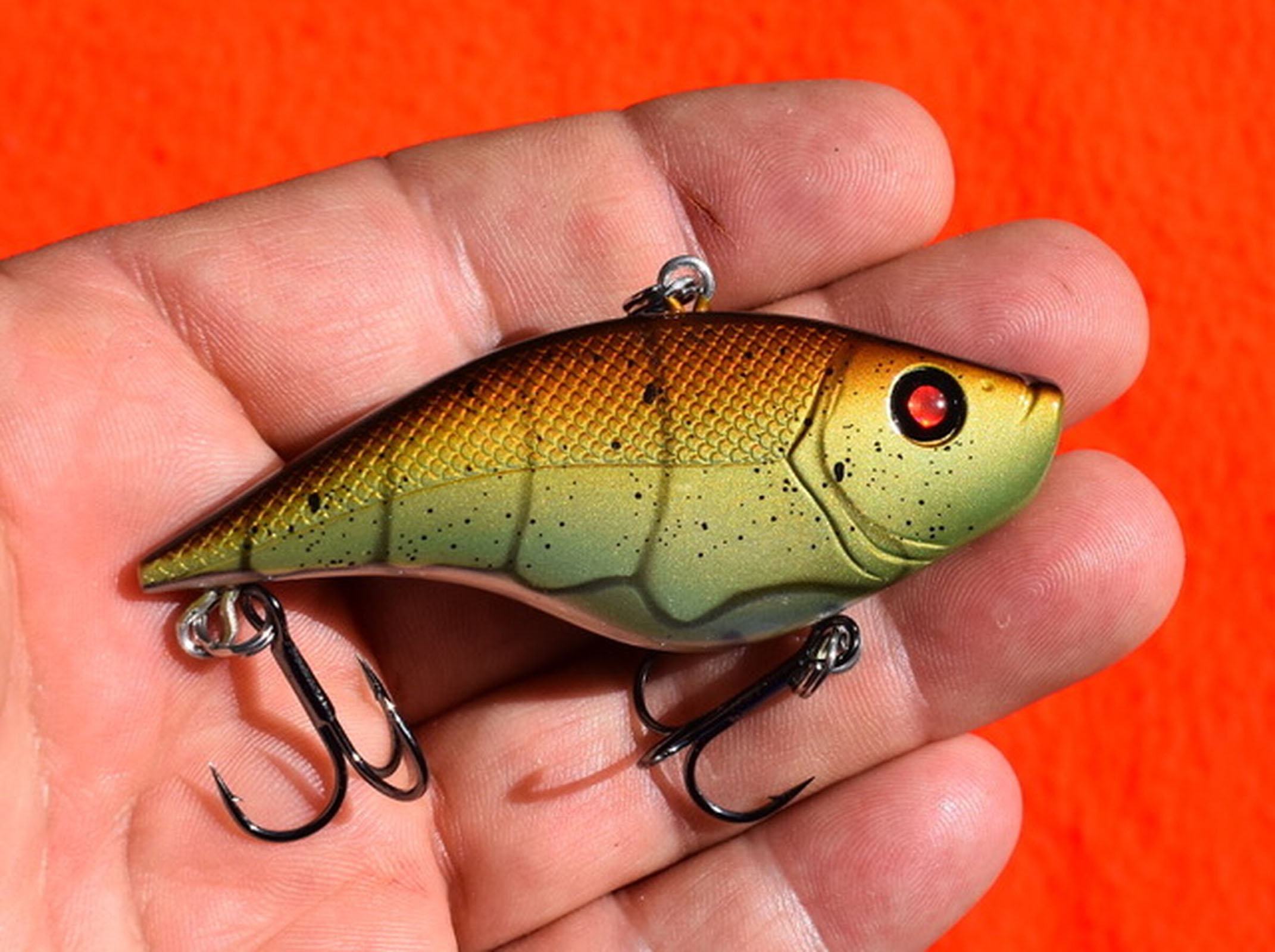 Hot weather bass tactics - Vimarsana News