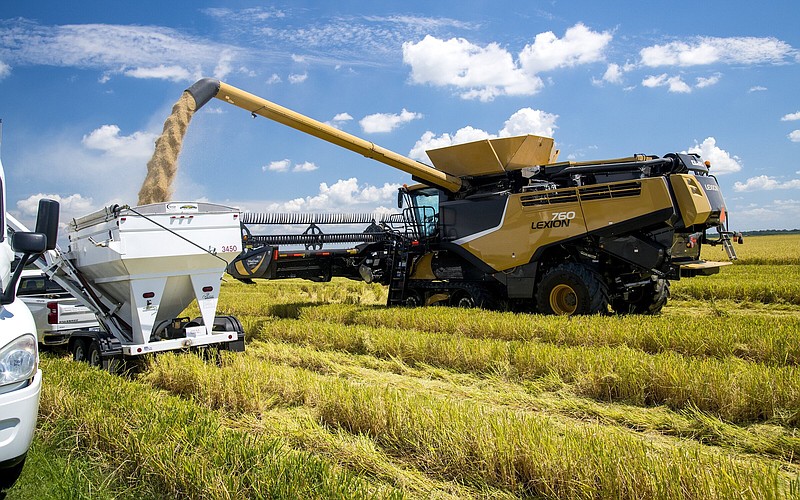 Heath Stephens and his crew harvest rice on the farm he operates in Arkansas County near Stuttgart with his father, John Stephens, in August 2020. (Special to The Commercial/Fred Miller/University of Arkansas System Division of Agriculture)
