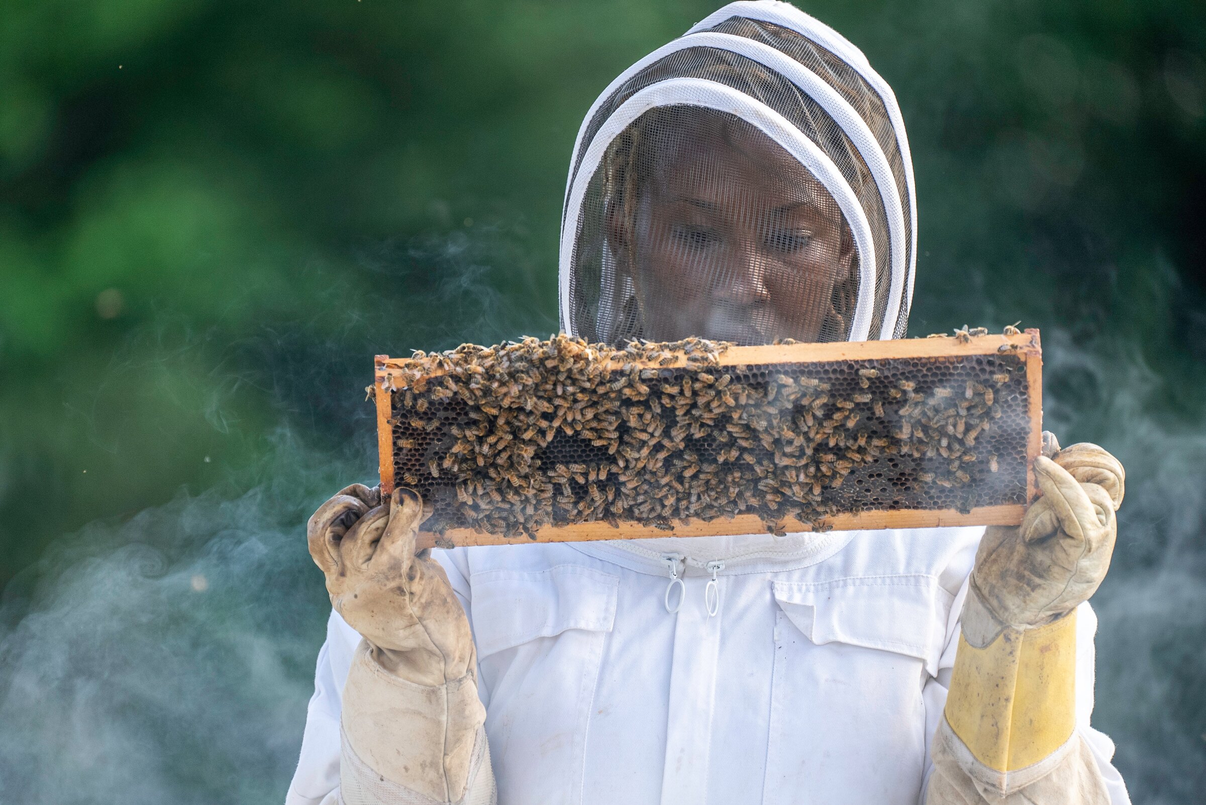 UAPB offers beginner beekeeping workshop