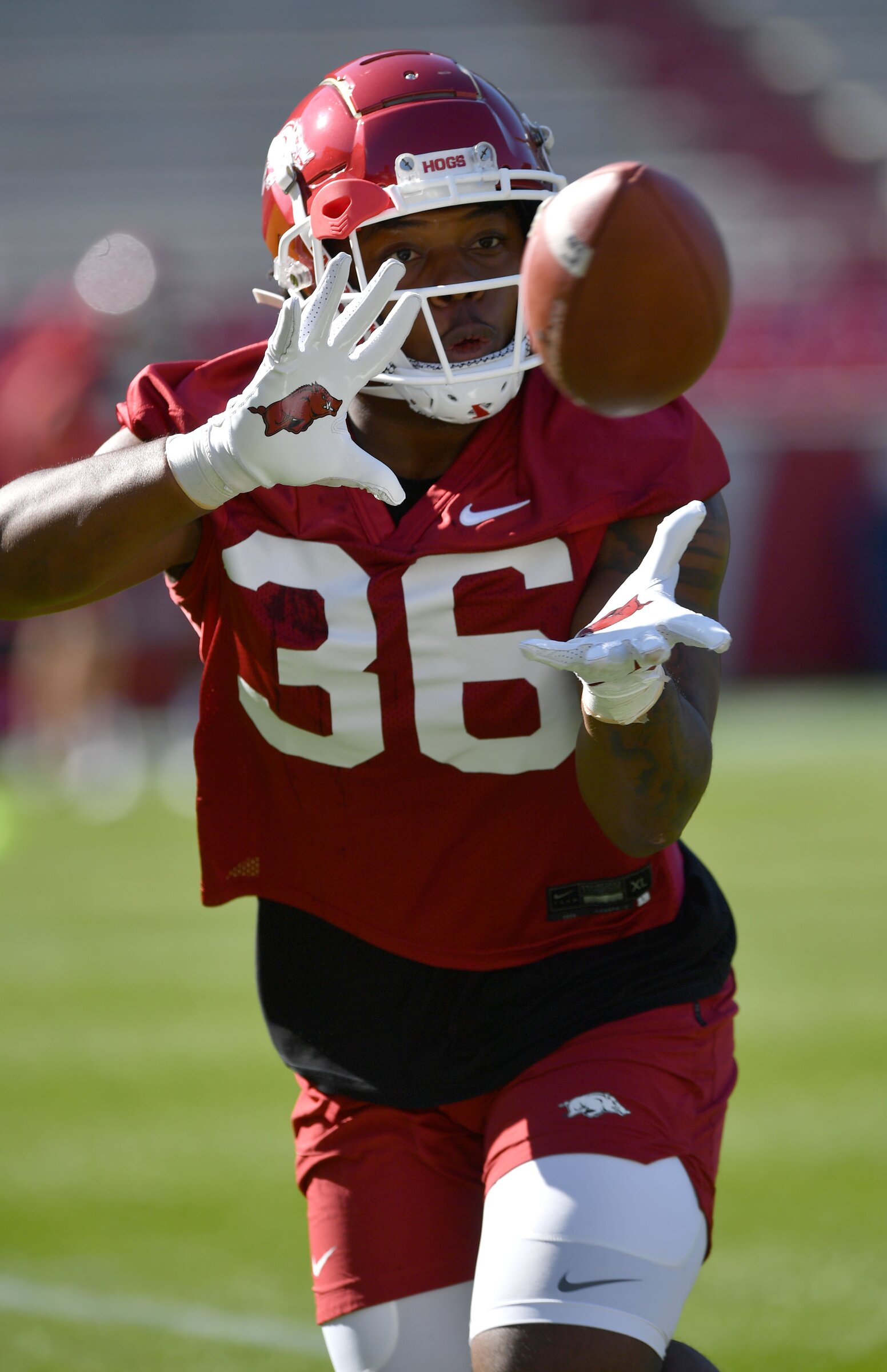 Texas freshman LB already getting attention in Fayetteville - Vimarsana News
