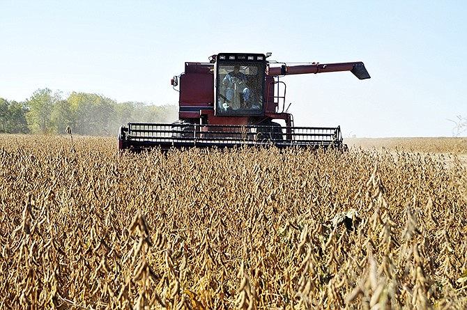 Soybeans are harvested in southern Callaway County. (News Tribune file photo)