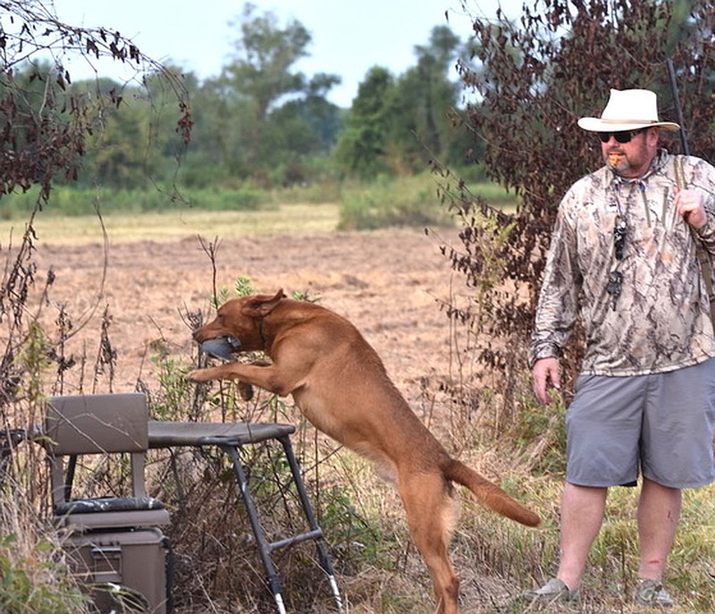 Opening act Despite population ebb, dove hunting popular in state