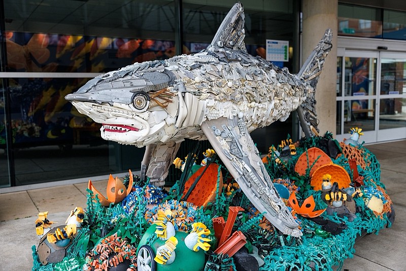 Sylvia the Silvertip Shark is part of the Washed Ashore art exhibition.