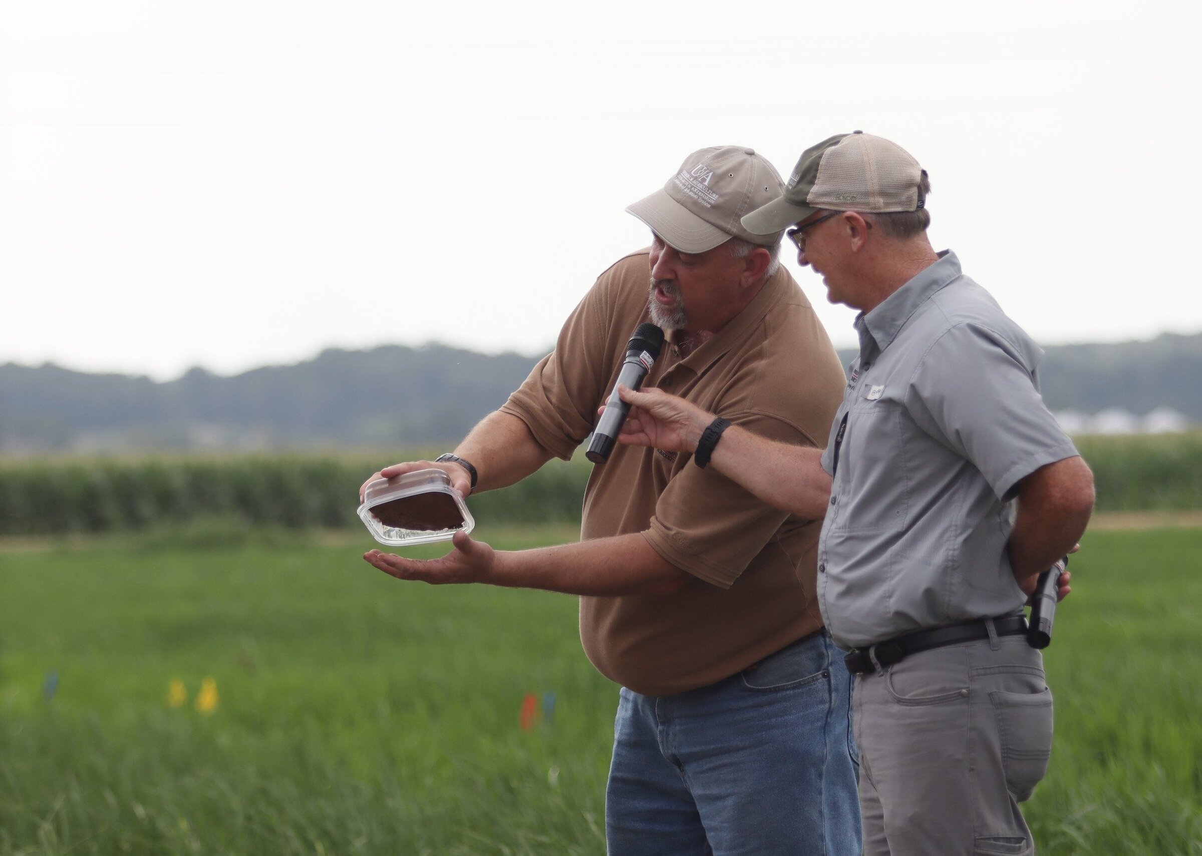 Carbon vital to healthy plants