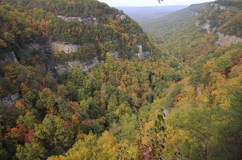 Staff file photo / Fall foliage is visible from the overlook at Cloudland Canyon State Park.