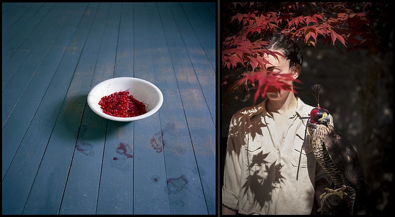 "Cherries" and "Emily & The Falcon," photos by Cig Harvey, are part of the “Cig Harvey: From Red to Violet” exhibition, up through Oct. 13 at the Baum Gallery at the University of Central Arkansas in Conway. (Special to the Democrat-Gazette)