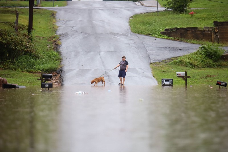 Staff photo by Olivia Ross  / A young man walks his dog along a flooded Bittings Avenue. Many homes along the road were effected. After heavy rainfall, a Flash Flood Warning was issued in Summerville on September 4, 2022.