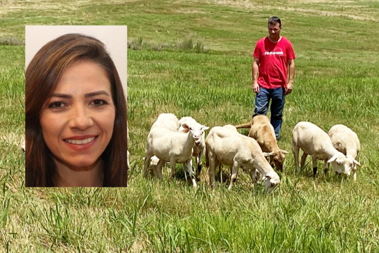 UAM professor brings global perspective