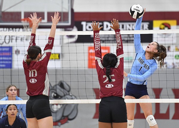 Prep Volleyball Springdale Har Ber Bounces Back From Tuesday Loss To