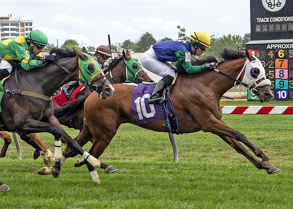 Queen's horse a winner at Pimlico - Vimarsana News