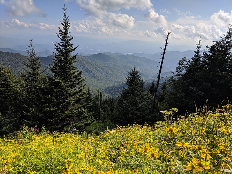 Kayaker s Body Found In Great Smoky Mountains National Park Kayaker s body found in great smoky mountains national park
