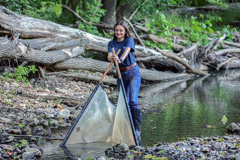 Cara Arrigo, coordinator biologist for the Missouri Conservation Department’s Stream Team, uses a kicknet to collect macro-invertebrates at Rock Bridge State Park.
