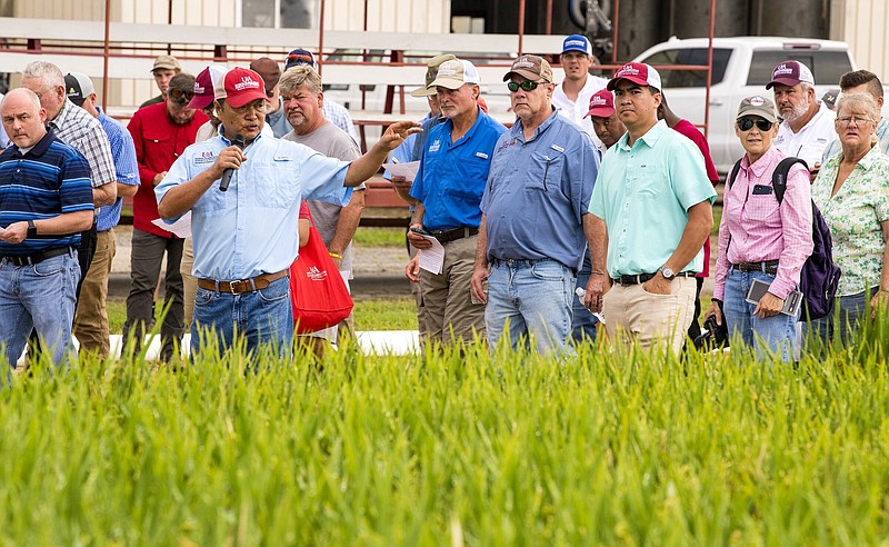 Rice breeder Xueyan Sha speaks about rice variety improvement during the Division of Agriculture’s Rice Field Day on Aug. 5. 
(Special to The Commercial/University of Arkansas System Division of Agriculture/Fred Miller)