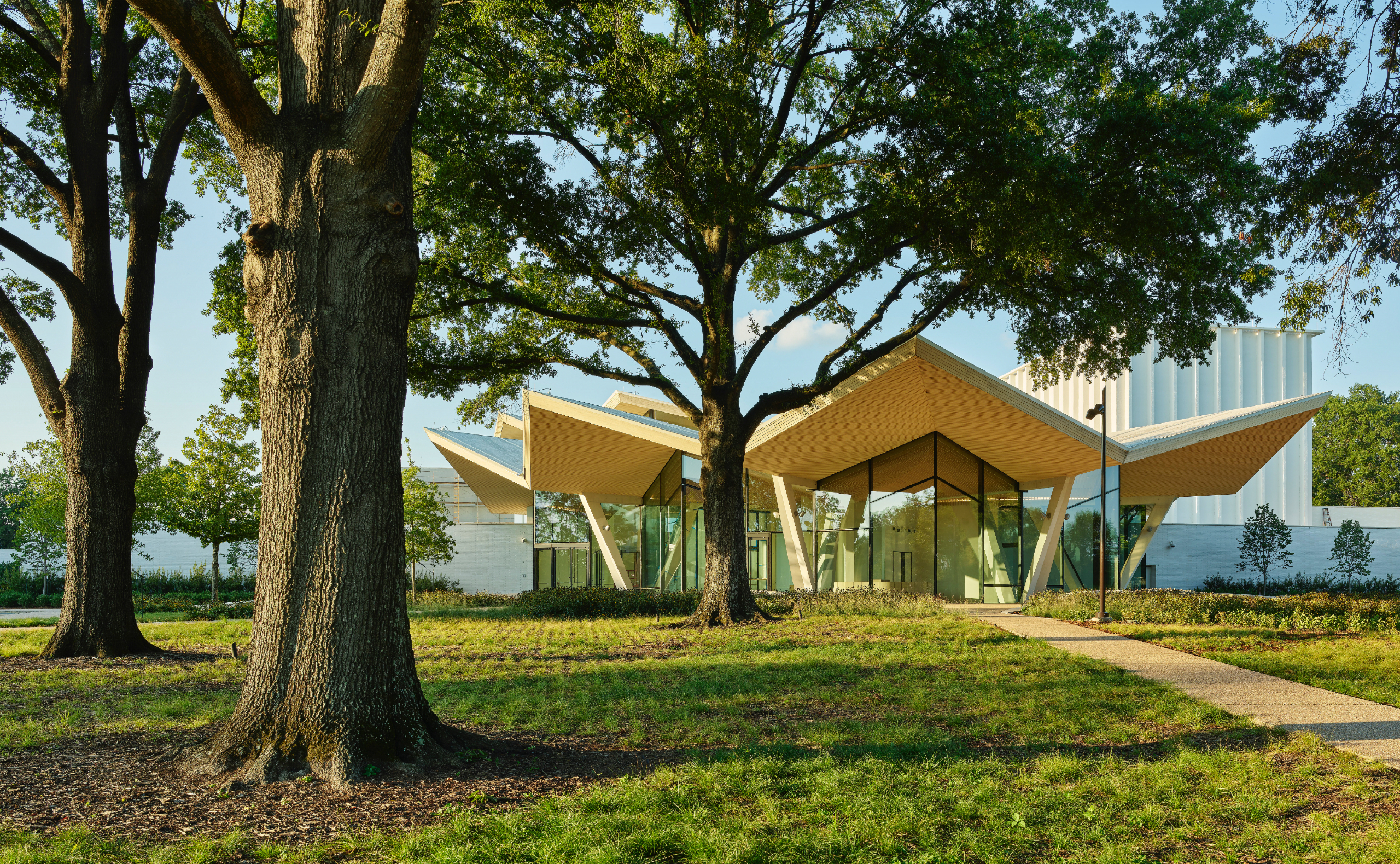 Special exhibits revealed for Arkansas Museum of Fine Arts in Little Rock - Vimarsana News