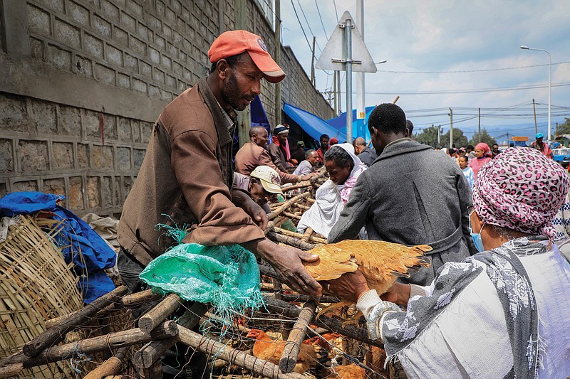 A man sells chickens in Sholla Market, the day before the Ethiopian New Year, in Addis Ababa, Ethiopia, earlier this month.
(AP)
