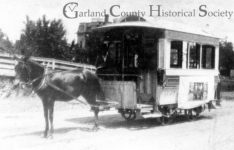 The famous trolley-riding mule. - Submitted photo