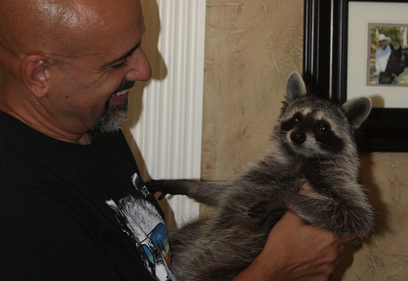 Self-proclaimed "Coon Daddy" Billy Smith and Peggy the raccoon share a warm embrace. Peggy is in first place in her category and has potential to be promoted to the final top 5 for the America's Favorite Pet competition. (Staff photo by Mallory Wyatt)