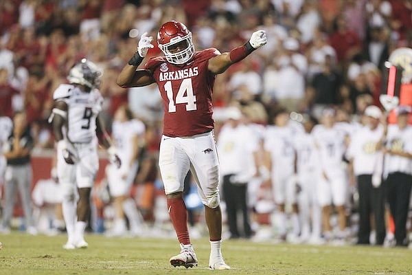 Arkansas defensive end Jordan Domineck celebrates a sack during a game against Missouri State on Saturday, Sept. 17, 2022, in Fayetteville.