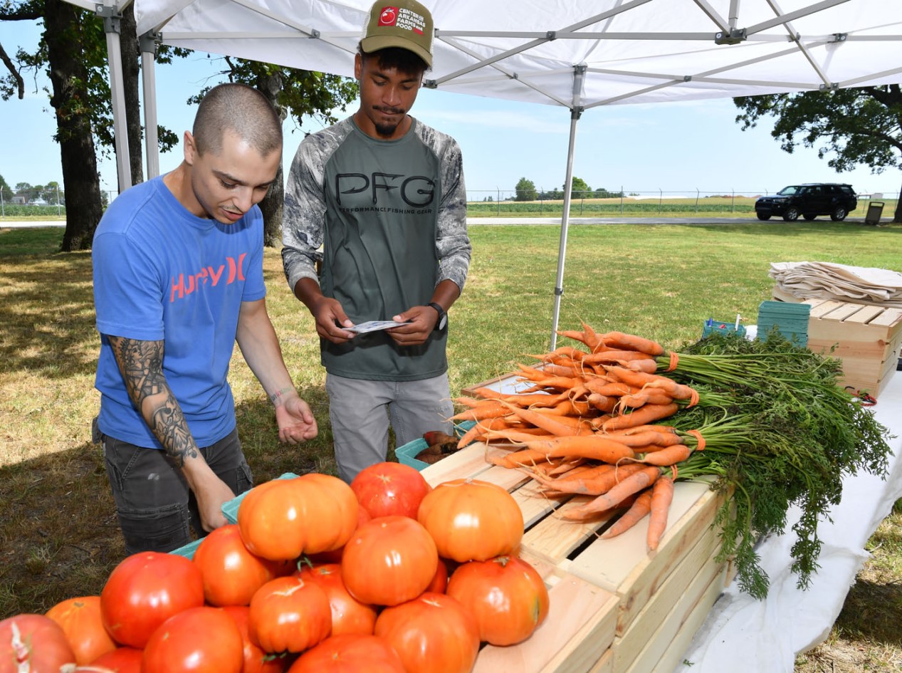 UA to offer workshop on farm produce safety