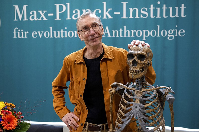 Swedish scientist Svante Paabo stands by a replica of a Neanderthal skeleton at the Max Planck Institute for Evolutionary Anthropology in Leipzig, Germany, Monday, Oct. 3, 2022. Swedish scientist Svante Paabo was awarded the 2022 Nobel Prize in Physiology or Medicine for his discoveries on human evolution. (Hendrik Schmidt/dpa via AP)