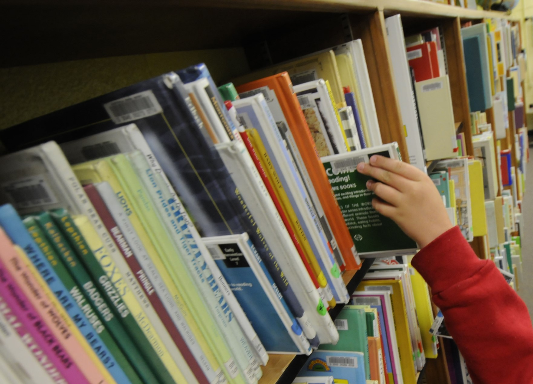 Craighead County Jonesboro Library System making plans to contend with losing half its tax support - Vimarsana News