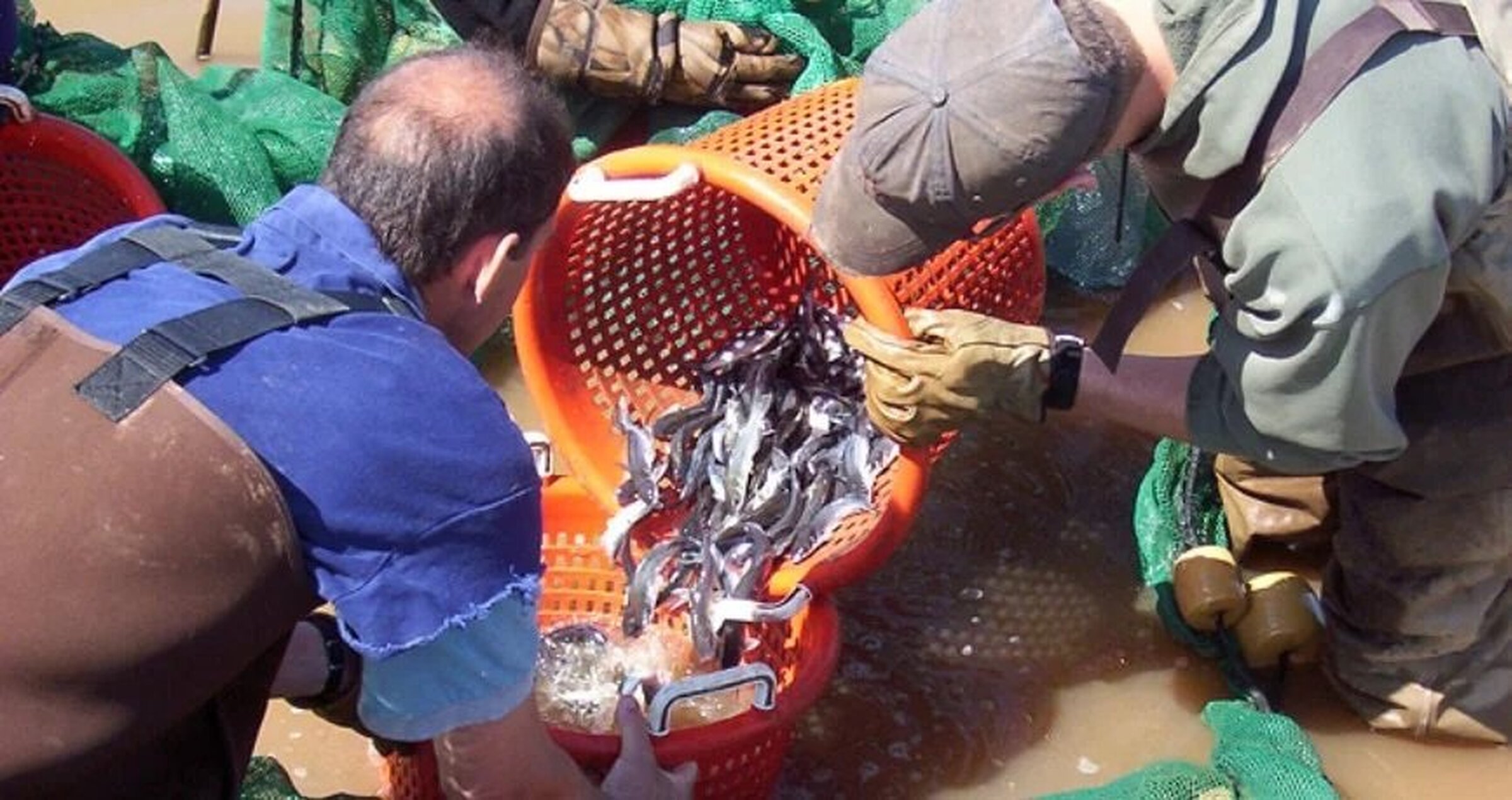 UAPB’s fisheries center a leader