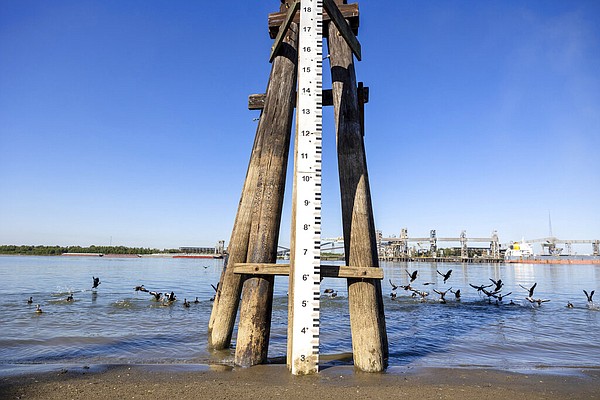 Drought snarls Mississippi River transit in blow to farmers - Vimarsana News