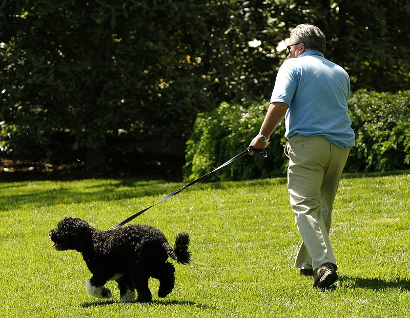 Meet Dale Haney, the White House groundskeeper for 50 years ...