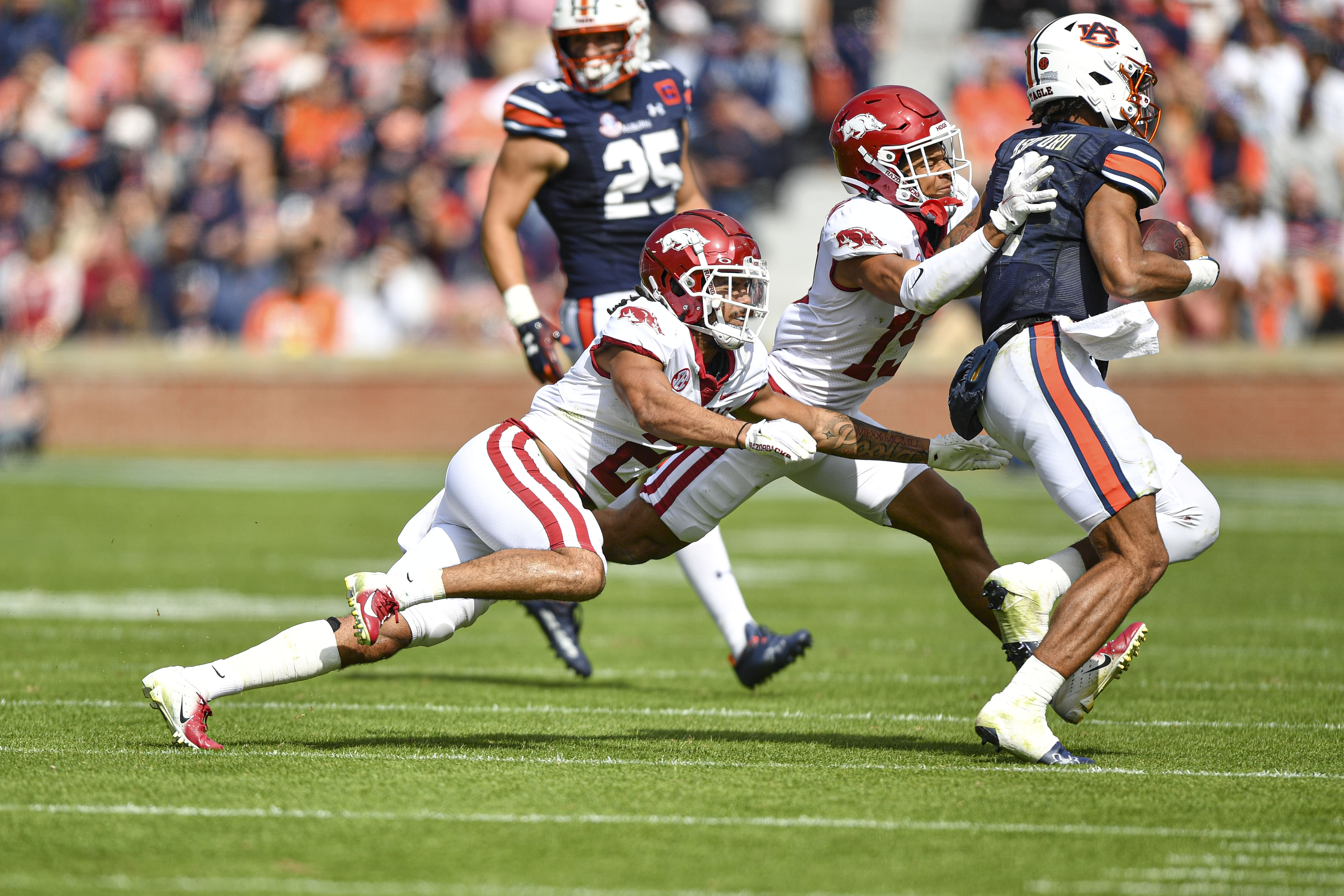 Hogs win convincingly to break skid with Tigers - Vimarsana News