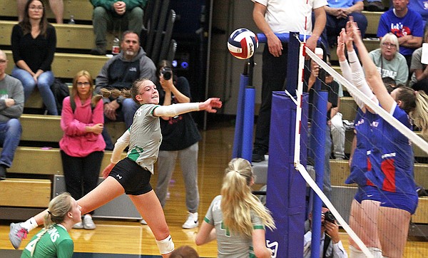 Class 3 Final Four volleyball team capsules - Vimarsana News