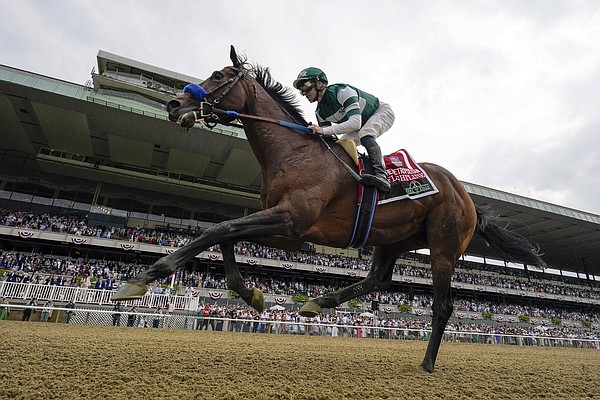 Flightline's run of dominance to be tested in today's Classic - Vimarsana News