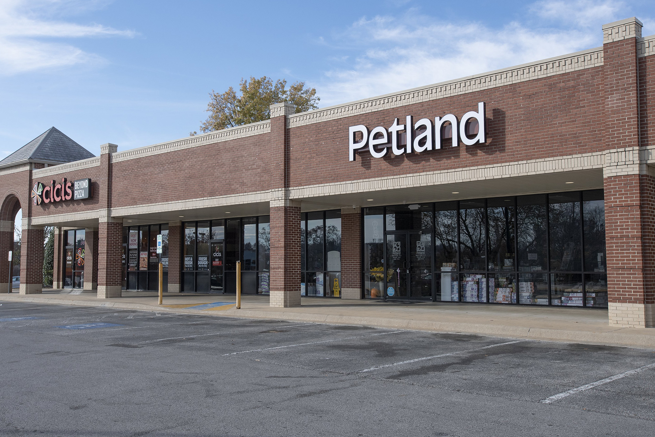 Fayetteville seeks judge's favor in lawsuit with Petland - Vimarsana News