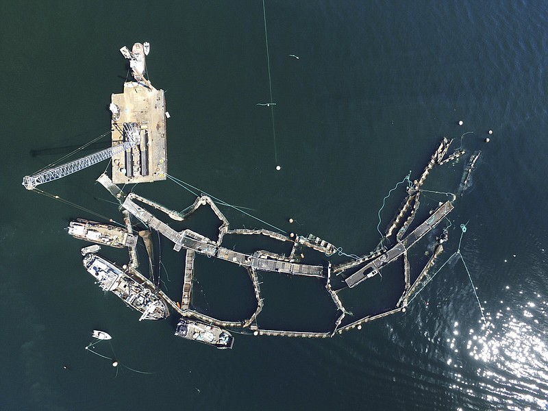 A crane and boats are anchored next to a collapsed “net pen” used by Cooke Aquaculture Pacific to farm Atlantic Salmon near Cypress Island in Washington state in the summer of 2017.
(AP/Washington State Department of Natural Resources)