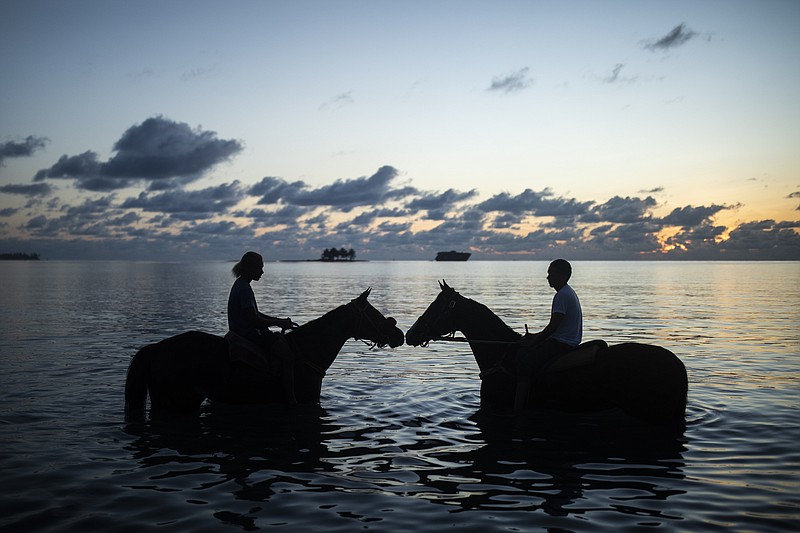 Riders bathe their race horses in the sea in the early hours of the morning on San Andres Island in Colombia, Tuesday, Nov. 8, 2022. Thoroughbreds train on sand beaches and compete on a rocky trail that cuts through the forest. (AP Photo/Ivan Valencia)