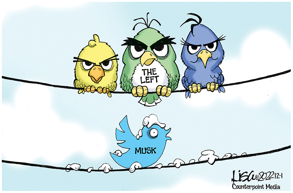 Birds on a Wire
