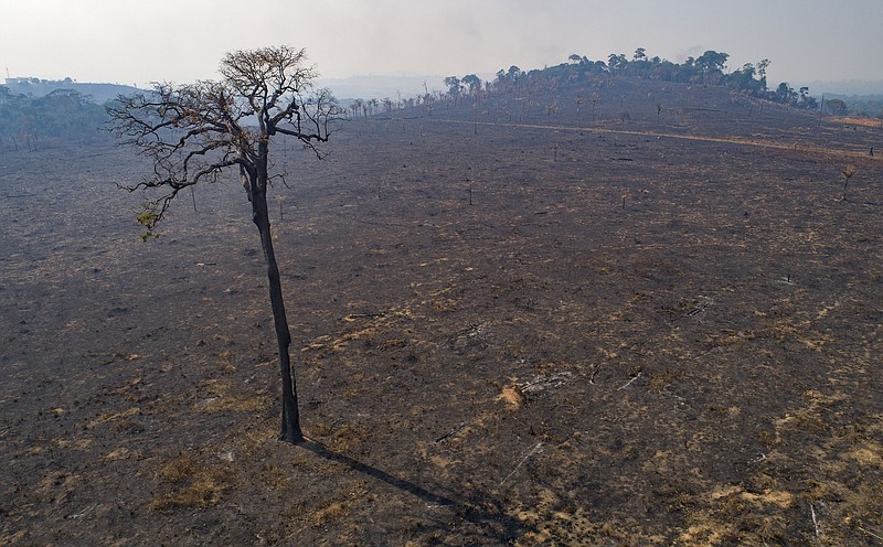 FILE - Land recently burned and deforested by cattle farmers stands empty near Novo Progresso, Para state, Brazil, Aug. 16, 2020. The Amazon region has lost 10% of its native vegetation, mostly tropical rainforest, in almost four decades, an area roughly the size of Texas, a new report released Dec. 2, 2022, says. (AP Photo/Andre Penner, File)