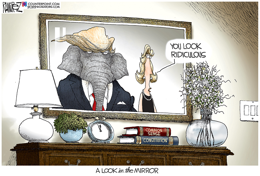 A Look in the Mirror