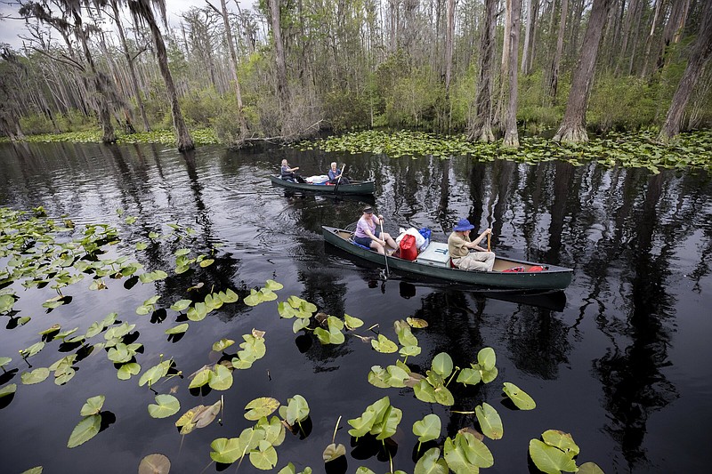 A group of visitors returns to Stephen C. Foster State Park after an overnight camping trip on the Red Trail in the Okefenokee National Wildlife Refuge.
(AP)