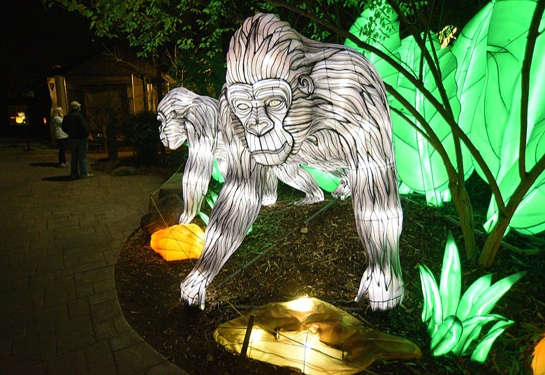 Lanterns light the night at Chattanooga Zoo Chattanooga Times Free Press