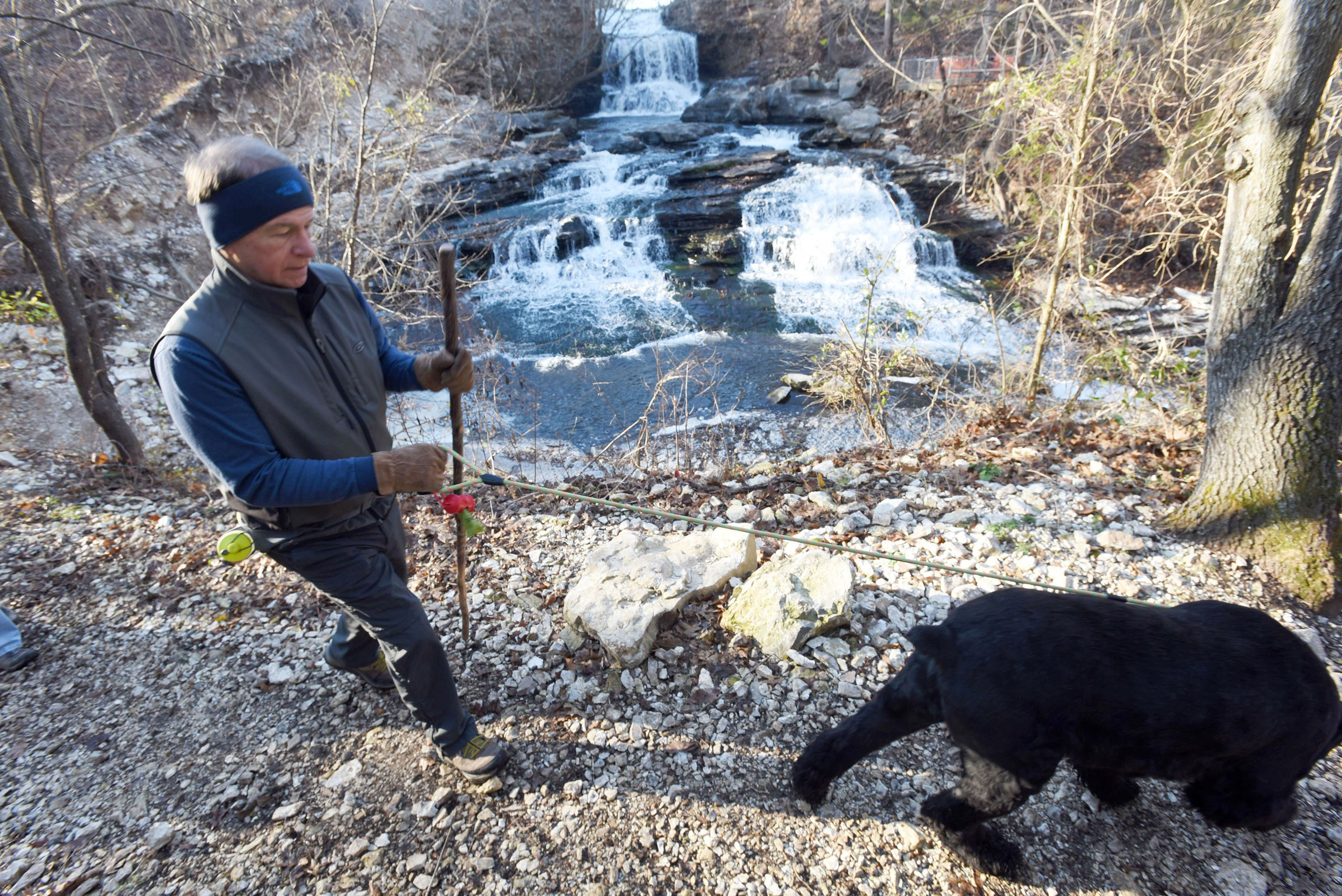 Northwest Arkansas outdoor news: Hikes, fishing mark new year - Vimarsana News
