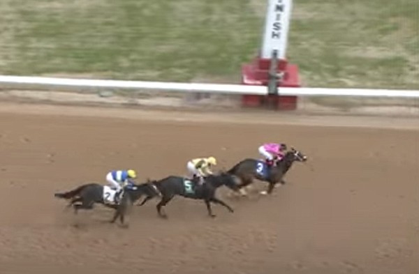 Diodoro's big day capped by Lovely Ride in Oaklawn's Pippin Stakes - Vimarsana News
