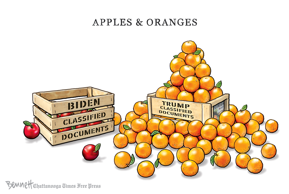 The Comparison
