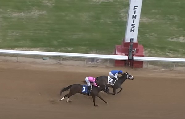 Hot and Sultry cruises to win American Beauty Stakes at Oaklawn - Vimarsana News