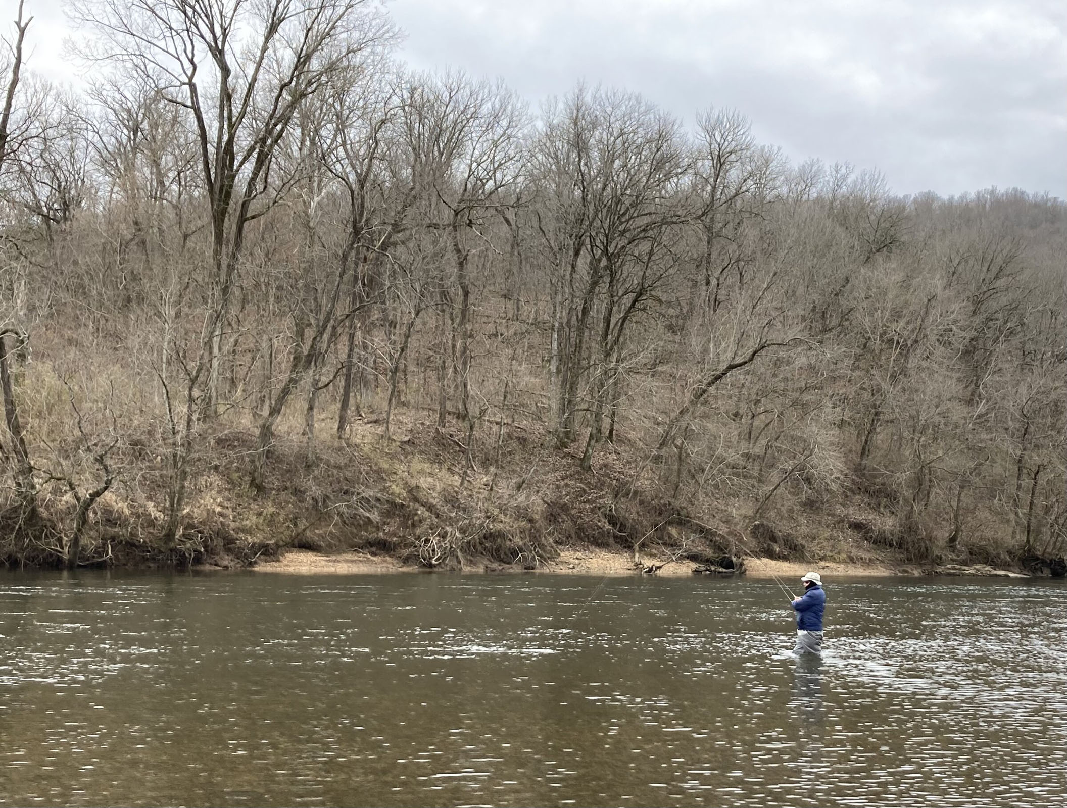 Rainbows in winter: White River trout start fishing season in grand fashion - Vimarsana News
