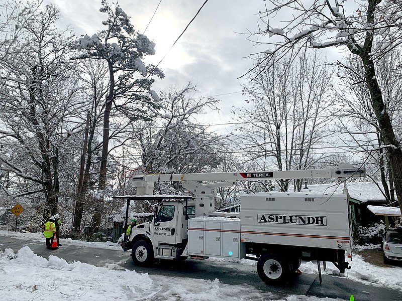 Arborists working on Lighton Trail on Mount Sequoyah in Fayetteville, (NWA Democrat-Gazette/ANDY SHUPE)