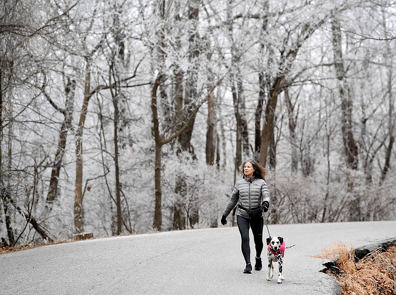 Kay Ellen Wilkerson of Fayetteville walks Monday, Jan. 30, 2023, with dog Calli along Skyline Drive beneath ice-covered trees in Fayetteville. A winter storm brought ice and sleet, making travel in the morning difficult. (NWA Democrat-Gazette/Andy Shupe)