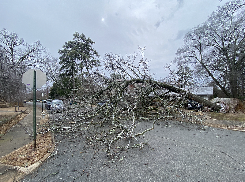 A fallen tree blocks part of Ridgeway Drive off from Lee Avenue in the Hillcrest neighborhood of Little Rock on Thursday, Feb. 2, 2023.
(Arkansas Democrat-Gazette/Staci Vandagriff)