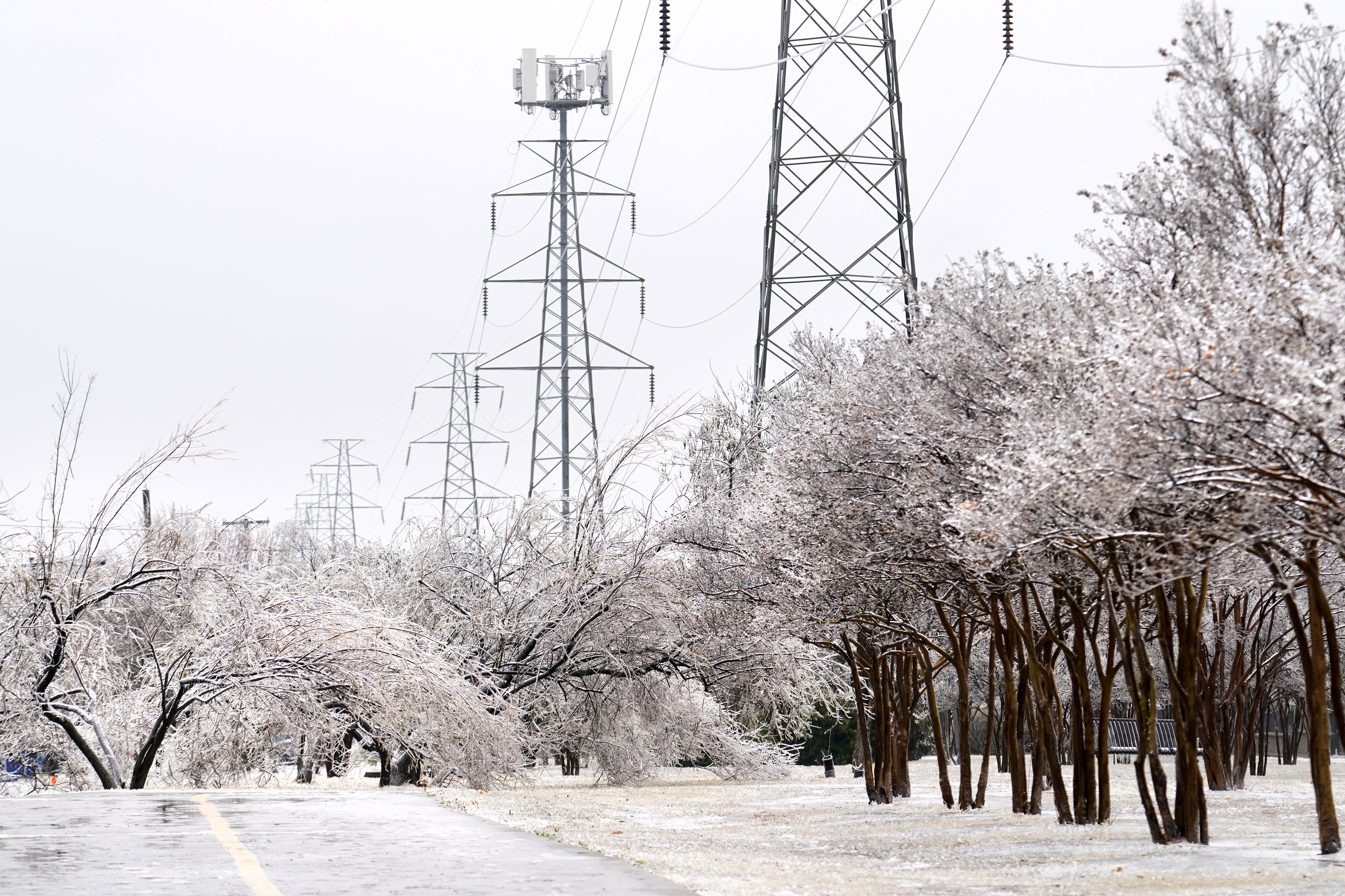 An iced over pedestrian walkway is lined by trees that are covered with ice from a few days of sleet and rain, Thursday, Feb. 2, 2023, in Dallas. (AP Photo/Tony Gutierrez)