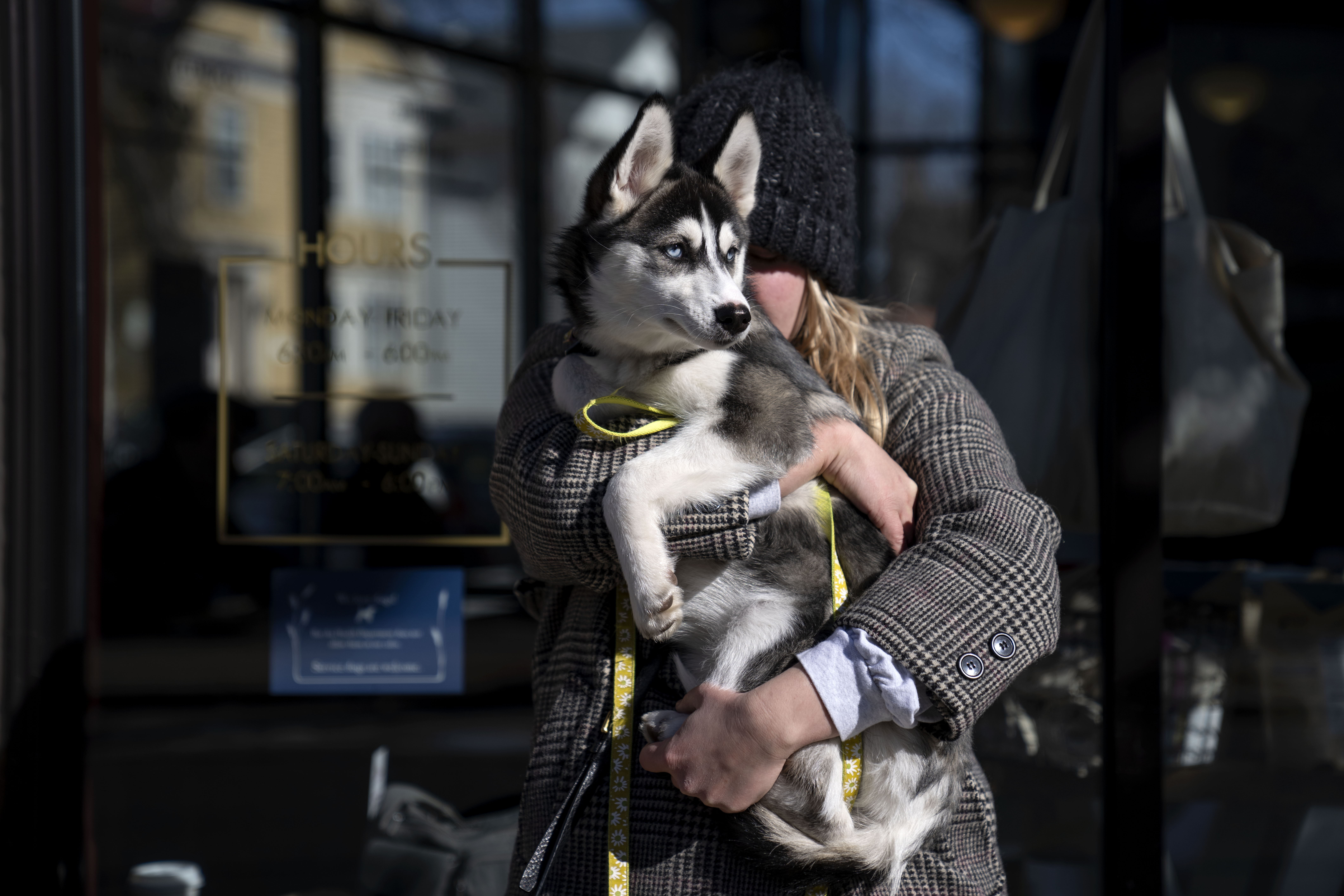 Madeleine Russell, buries her face into the fur of her 4-month-old Husky, Stevie Nicks, to stay warm while waiting for a friend outside a coffee shop in Providence, R.I., Friday, Feb. 3, 2023. A new wave of frigid weather rolling into the Northeast led communities to close schools and open warming centers Friday as an Arctic front swept in from Canada. (AP Photo/David Goldman)